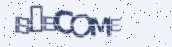 VeriCode