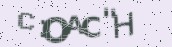VeriCode
