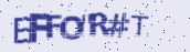 VeriCode