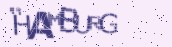 VeriCode