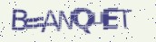 VeriCode
