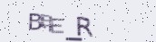 VeriCode