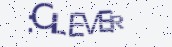 VeriCode