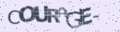 VeriCode