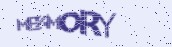VeriCode