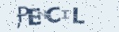 VeriCode