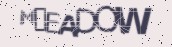 VeriCode