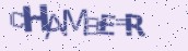 VeriCode