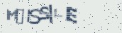 VeriCode