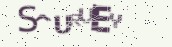 VeriCode