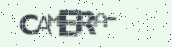 VeriCode