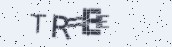 VeriCode