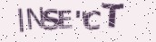 VeriCode