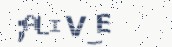VeriCode
