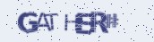 VeriCode