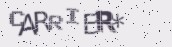 VeriCode