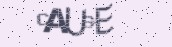 VeriCode