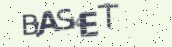 VeriCode