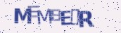 VeriCode