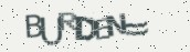 VeriCode