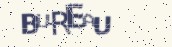 VeriCode