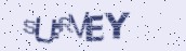 VeriCode
