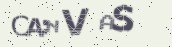 VeriCode