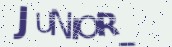 VeriCode