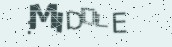 VeriCode