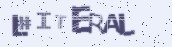 VeriCode
