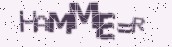 VeriCode