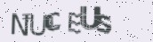 VeriCode