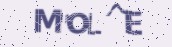 VeriCode
