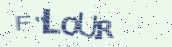 VeriCode