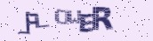 VeriCode