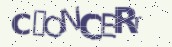 VeriCode