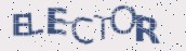 VeriCode