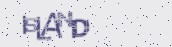 VeriCode