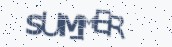 VeriCode