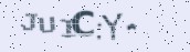 VeriCode