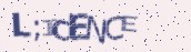 VeriCode