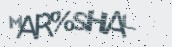 VeriCode