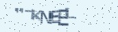 VeriCode