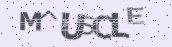 VeriCode