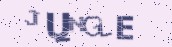VeriCode