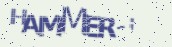 VeriCode