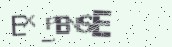 VeriCode