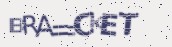 VeriCode