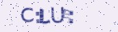 VeriCode