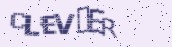 VeriCode